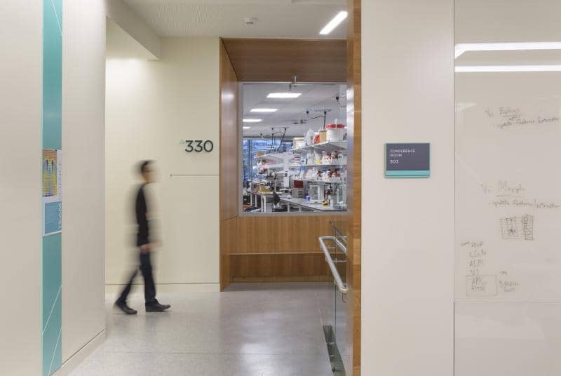  Lab fronts are transparent to give a sense of ‘passing through’—enforcing the exploratory nature of the Institute throughout the building. Photographer: Lara Swimmer 